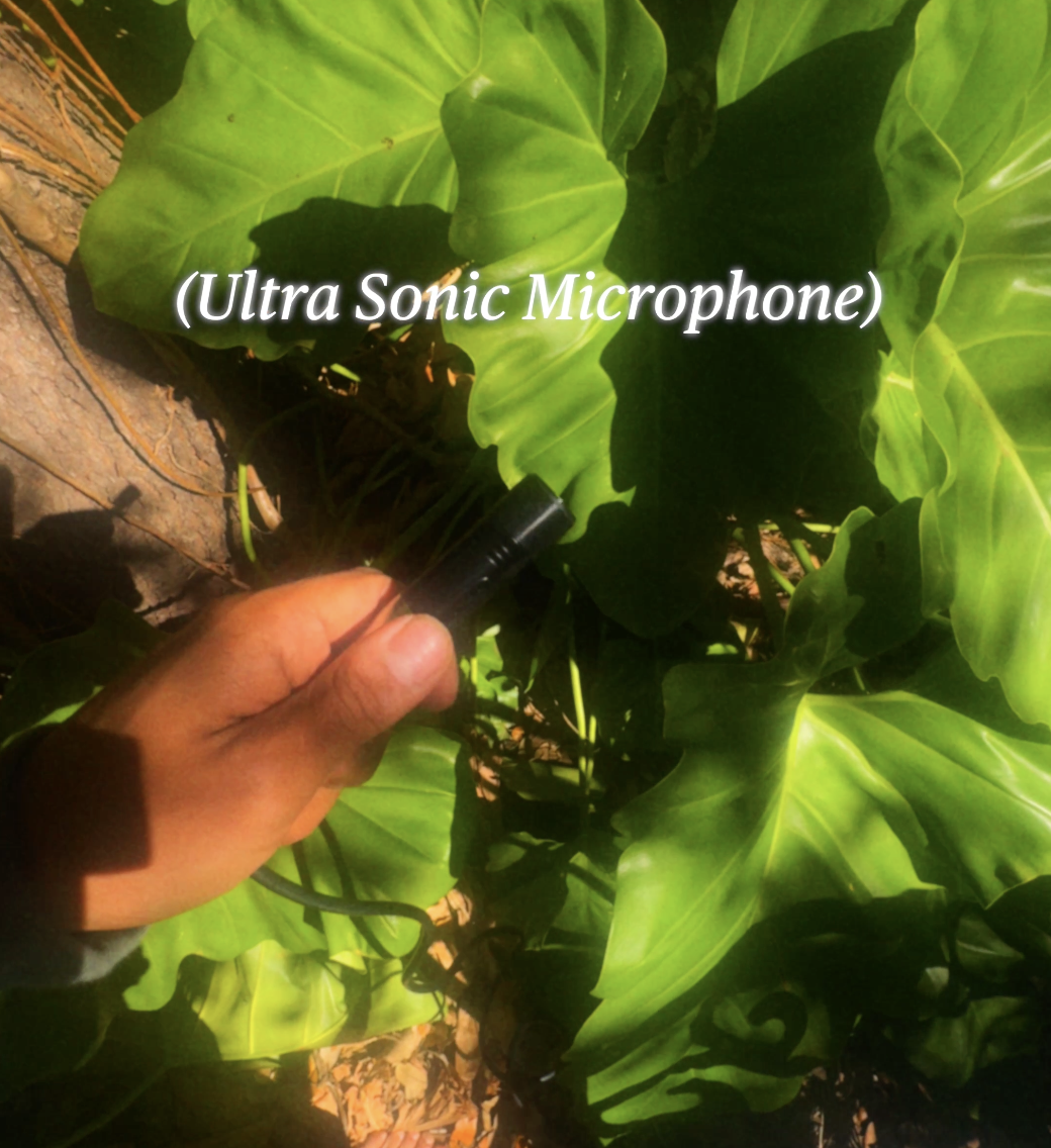 Screenshot 2026-03-08 at 1.01.00 PM