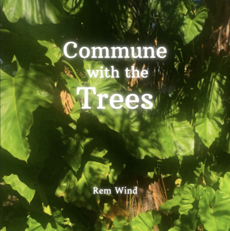 Tree Meditation Music